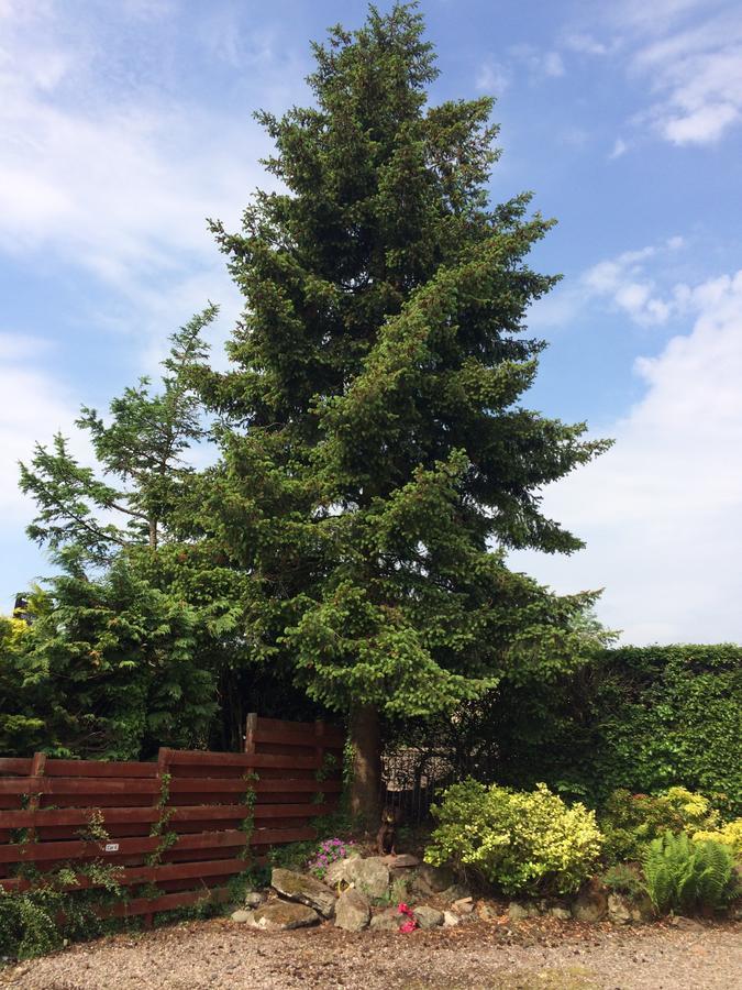 Firtree Bed And Breakfast At Galvelbeg House Crieff Dış mekan fotoğraf